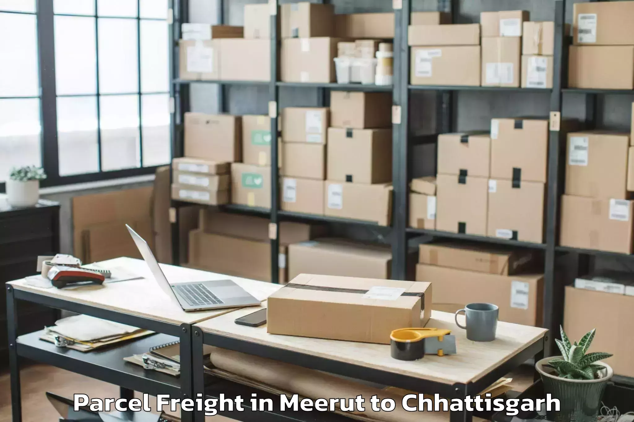 Reliable Meerut to Icfai University Raipur Durg Parcel Freight